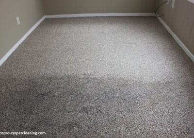 carpet-clean