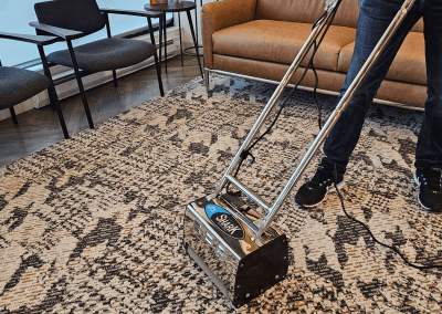 Carpet Cleaning in Chicago