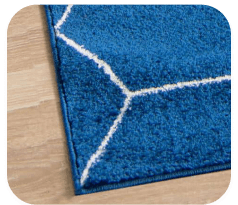 Ecopro Area rug cleaning