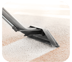 Ecopro Carpet cleaning