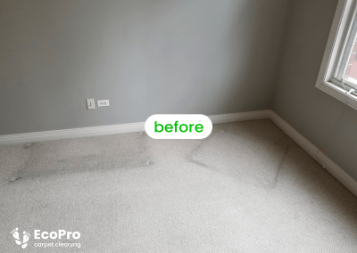 price of carpet cleaning service