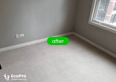 carpet shampoo cleaning service