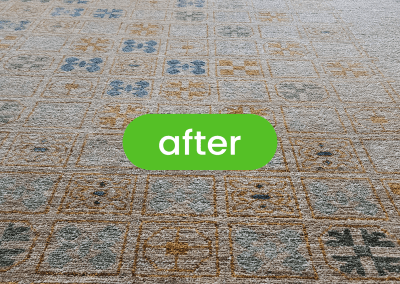 rug cleaning chicago