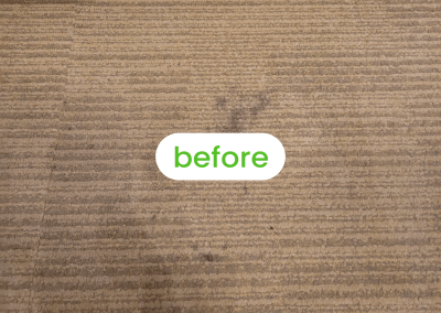 oxi fresh carpet cleaning service