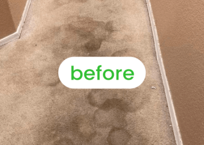 carpet cleaning near me