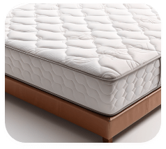 Ecopro Mattress cleaning